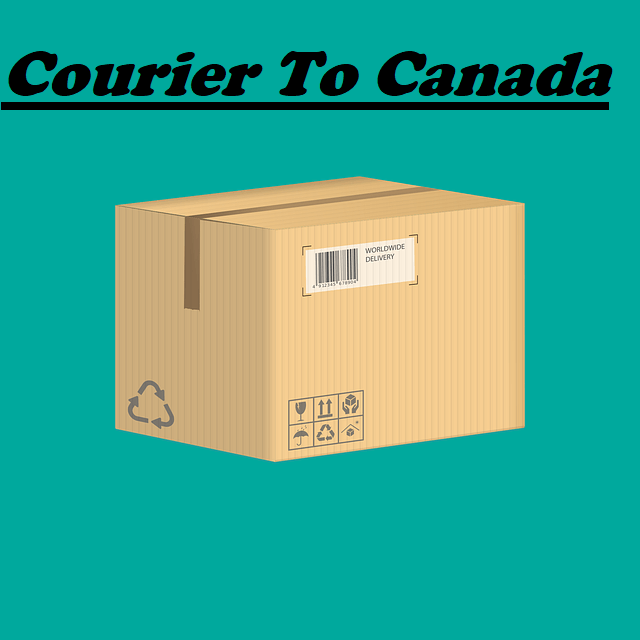 Courier Service To Canada From Punjab Call +919555557095
